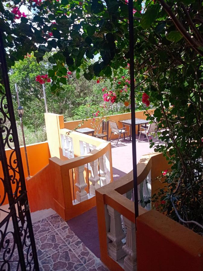 Casa Daniels Guesthouse فالادوليد المظهر الخارجي الصورة